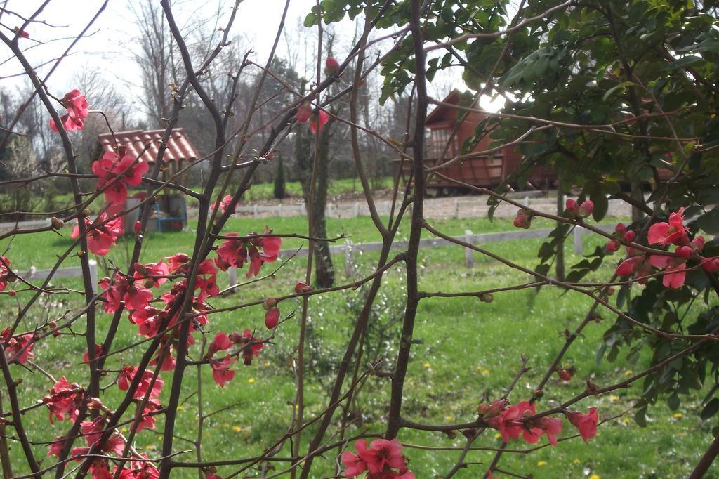 Pinto Villa Rosa House מראה חיצוני תמונה